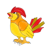 Chicken Animals Chicken Animals