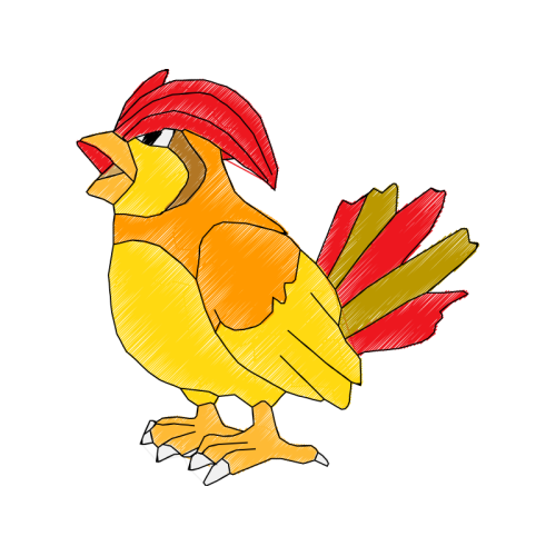 Chicken Animals Chicken Animals