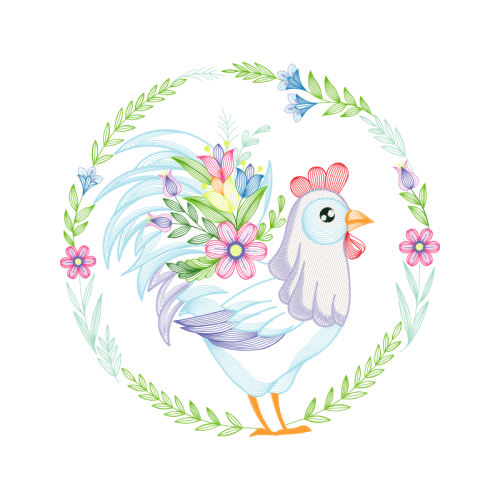 Chicken Animals Chicken Animals