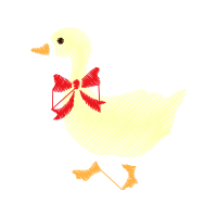 Chicken Animals Chicken Animals