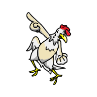 Chicken Animals Chicken Animals