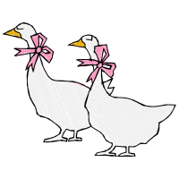 Chicken Animals Chicken Animals