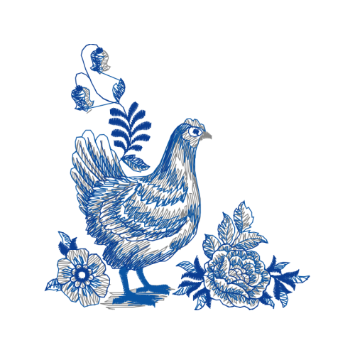 Chicken Animals Chicken Animals