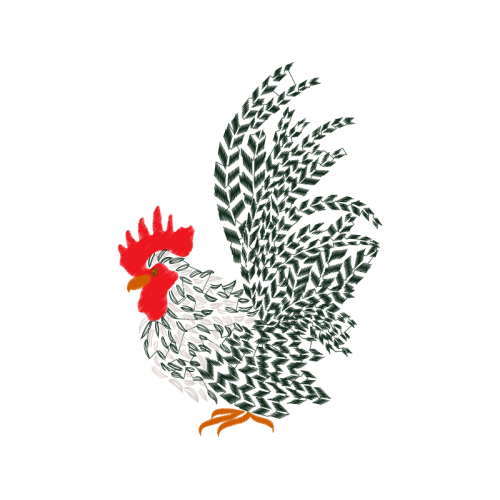 Chicken Animals Chicken Animals