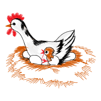 Chicken Animals Chicken Animals