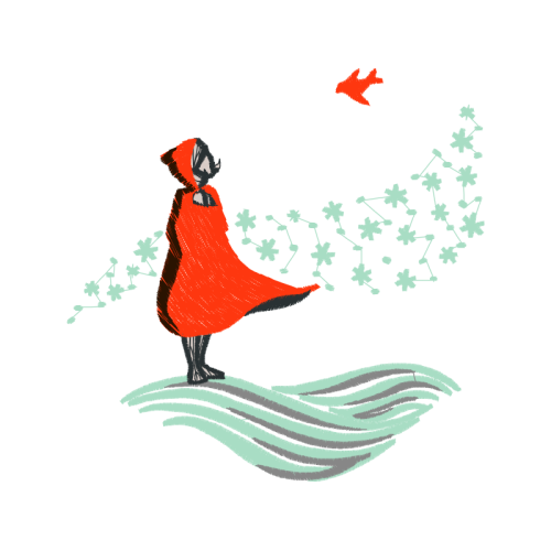 Chicken Animals Chicken Animals