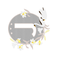 Chicken Animals Chicken Animals