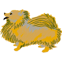 Chicken Animals Chicken Animals