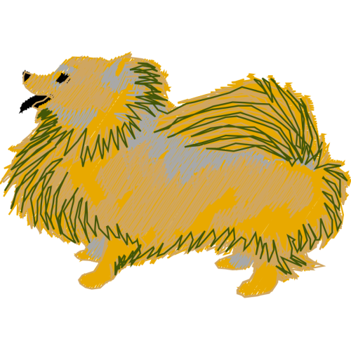 Chicken Animals Chicken Animals