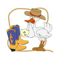 Chicken Animals Chicken Animals