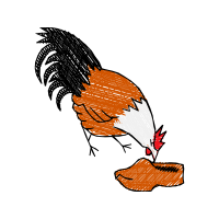 Chicken Animals Chicken Animals