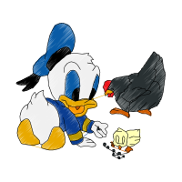 Chicken Animals Chicken Animals