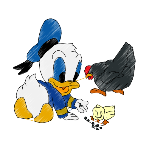 Chicken Animals Chicken Animals