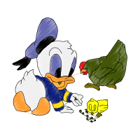 Chicken Animals Chicken Animals