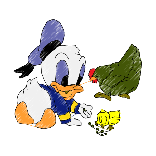 Chicken Animals Chicken Animals