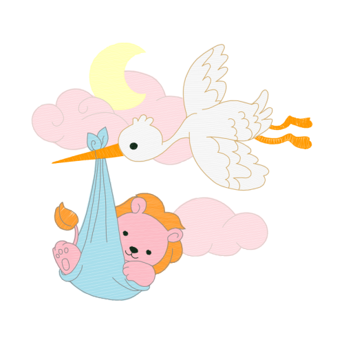 Chicken Animals Chicken Animals