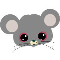 Chinchilla Animals Chinchilla Animals