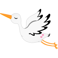 Ciconiiformes Animals