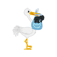 Clip Art Animals Clip Art Animals