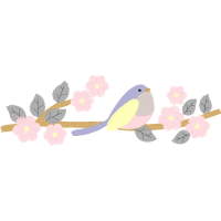 Cockatiel Animals Cockatiel Animals