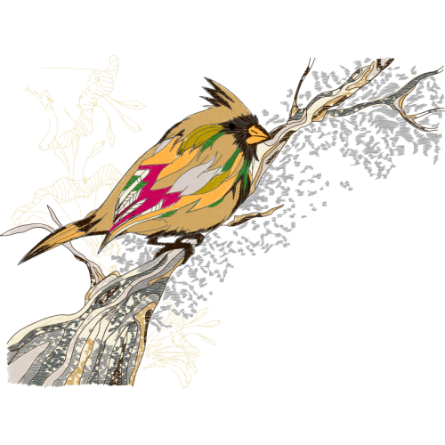 Coraciiformes Animals Coraciiformes Animals