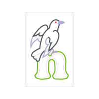 Coraciiformes Animals