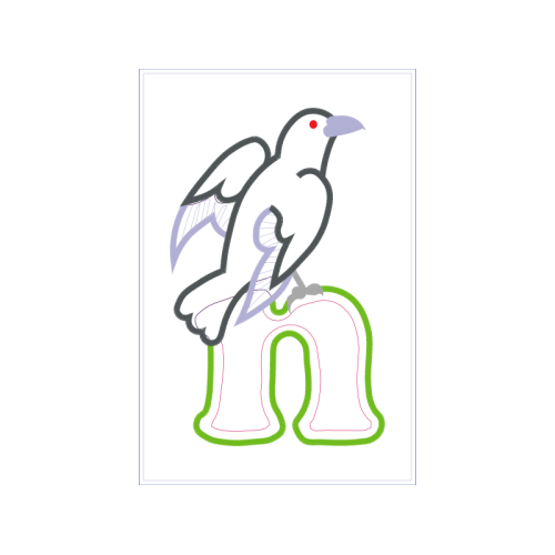 Coraciiformes Animals