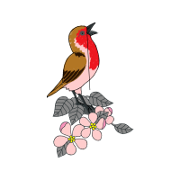 Coraciiformes Animals