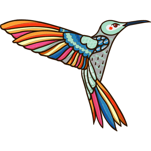 Coraciiformes Animals