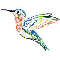 Coraciiformes Animals