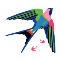 Coraciiformes Animals