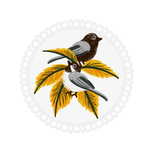 Coraciiformes Animals