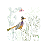 Coraciiformes Animals