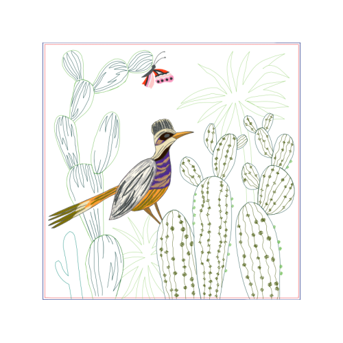 Coraciiformes Animals