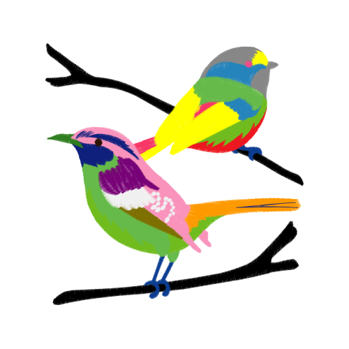 Coraciiformes Animals Coraciiformes Animals