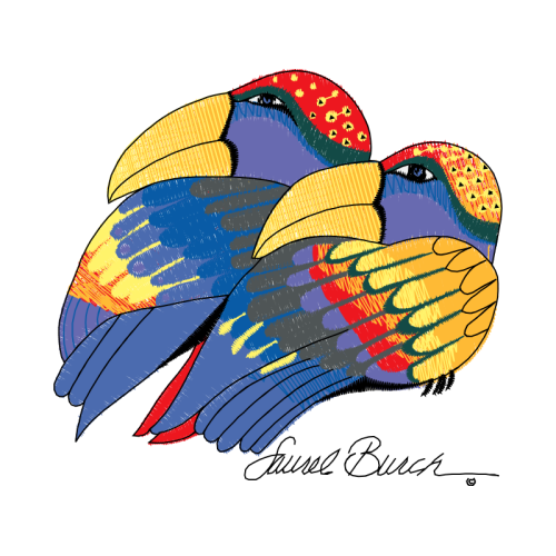 Coraciiformes Animals