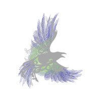 Coraciiformes Animals