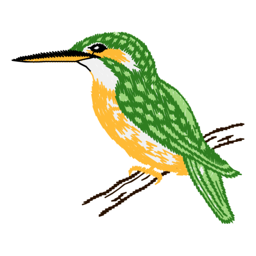 Coraciiformes Animals