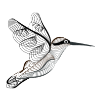 Coraciiformes Animals