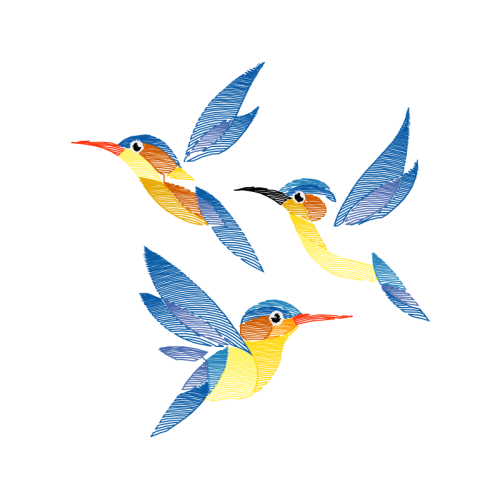 Coraciiformes Animals