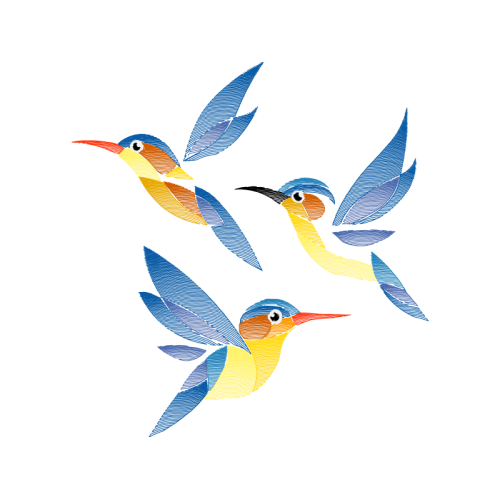 Coraciiformes Animals