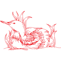 Cryptid Animals Cryptid Animals