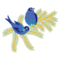 Cuculiformes Animals Cuculiformes Animals