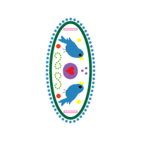 Delta Downs Station Animals Delta Downs Station Animals