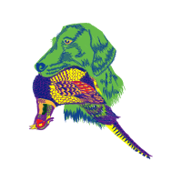 Dog Animals Dog Animals