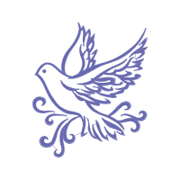 Domestic Pigeon Animals Domestic Pigeon Animals