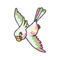 Domestic Rabbit Animals Domestic Rabbit Animals