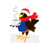 Domestic Turkey Animals