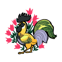 Domestic Turkey Animals