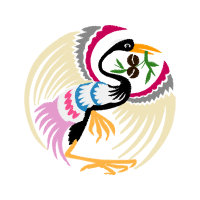 Domestic Turkey Animals